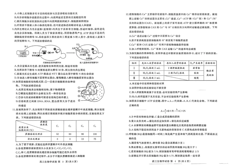 湖北省黄冈市高三九月调考生物试题_A1502026各地模拟卷（超值！）_9月_240919湖北省黄冈市2024-2025学年高三上学期第一次调研考试_湖北省黄冈市2024年高三年级9月调研考试生物