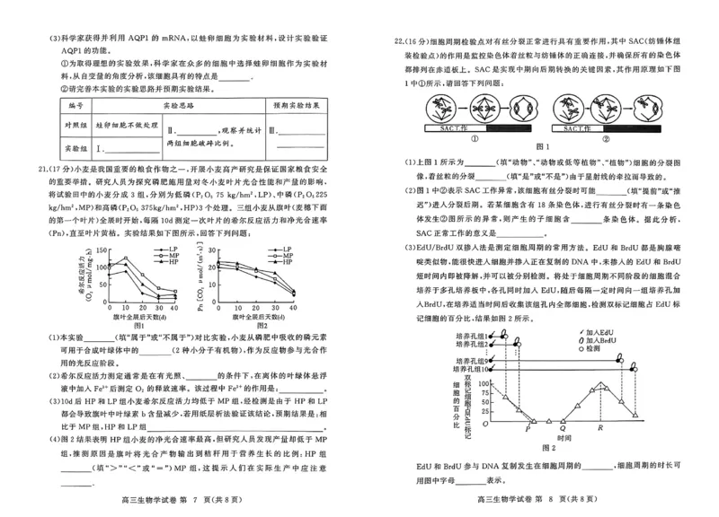 湖北省黄冈市高三九月调考生物试题_A1502026各地模拟卷（超值！）_9月_240919湖北省黄冈市2024-2025学年高三上学期第一次调研考试_湖北省黄冈市2024年高三年级9月调研考试生物