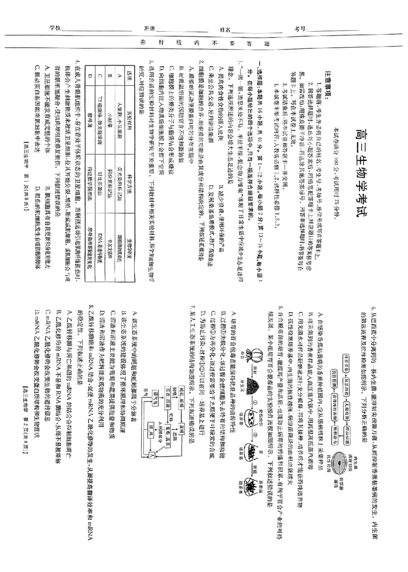 生物_A1502026各地模拟卷（超值！）_9月_240911广西2025届金太阳高三9月联考（24-25C）_试卷