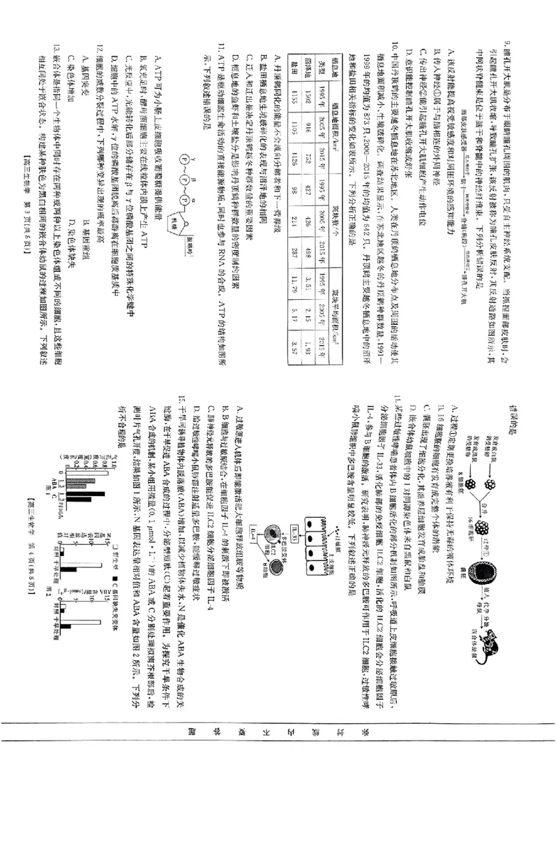 生物_A1502026各地模拟卷（超值！）_9月_240911广西2025届金太阳高三9月联考（24-25C）_试卷