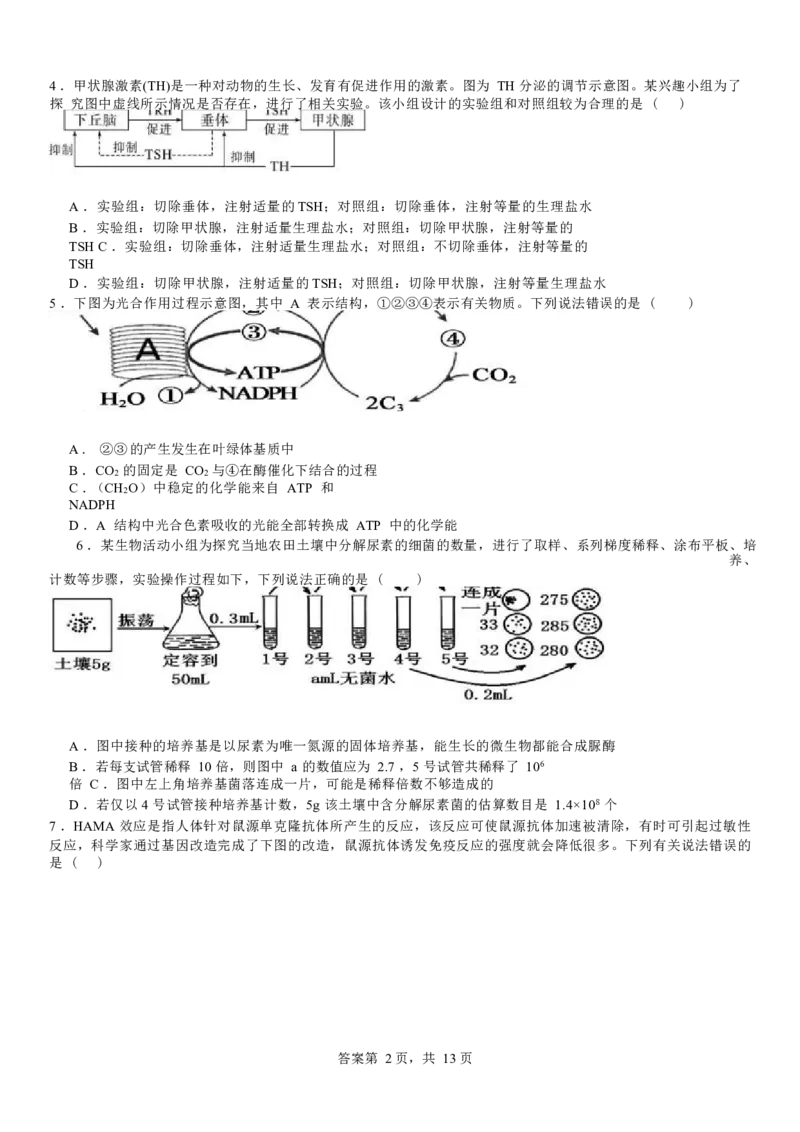 河南省安阳市林州市第一中学2024-2025学年高三上学期8月月考+生物_A1502026各地模拟卷（超值！）_9月_240904河南省安阳市林州市第一中学2024-2025学年高三上学期8月月考