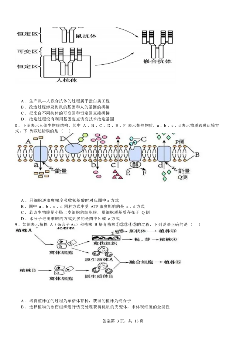 河南省安阳市林州市第一中学2024-2025学年高三上学期8月月考+生物_A1502026各地模拟卷（超值！）_9月_240904河南省安阳市林州市第一中学2024-2025学年高三上学期8月月考