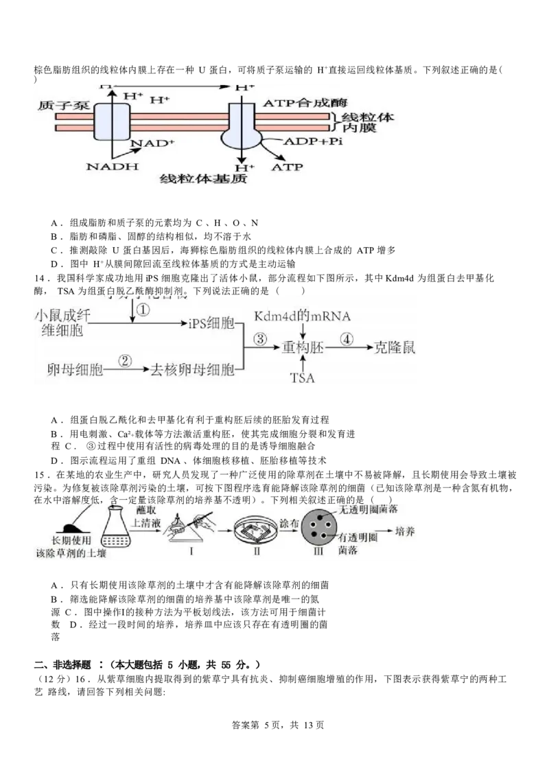河南省安阳市林州市第一中学2024-2025学年高三上学期8月月考+生物_A1502026各地模拟卷（超值！）_9月_240904河南省安阳市林州市第一中学2024-2025学年高三上学期8月月考