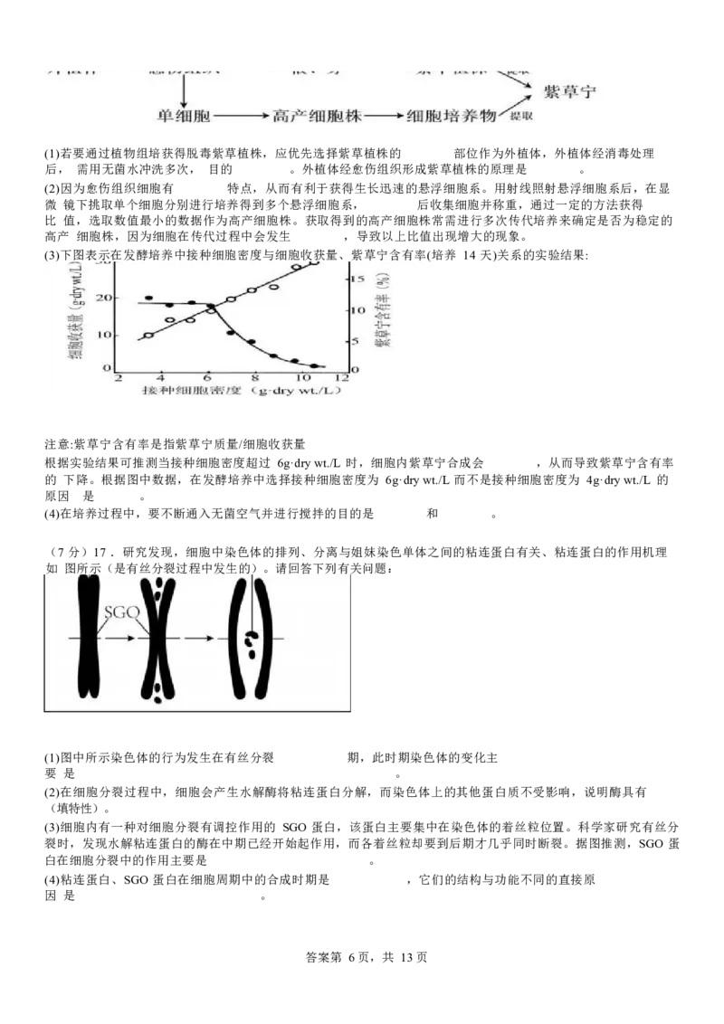 河南省安阳市林州市第一中学2024-2025学年高三上学期8月月考+生物_A1502026各地模拟卷（超值！）_9月_240904河南省安阳市林州市第一中学2024-2025学年高三上学期8月月考
