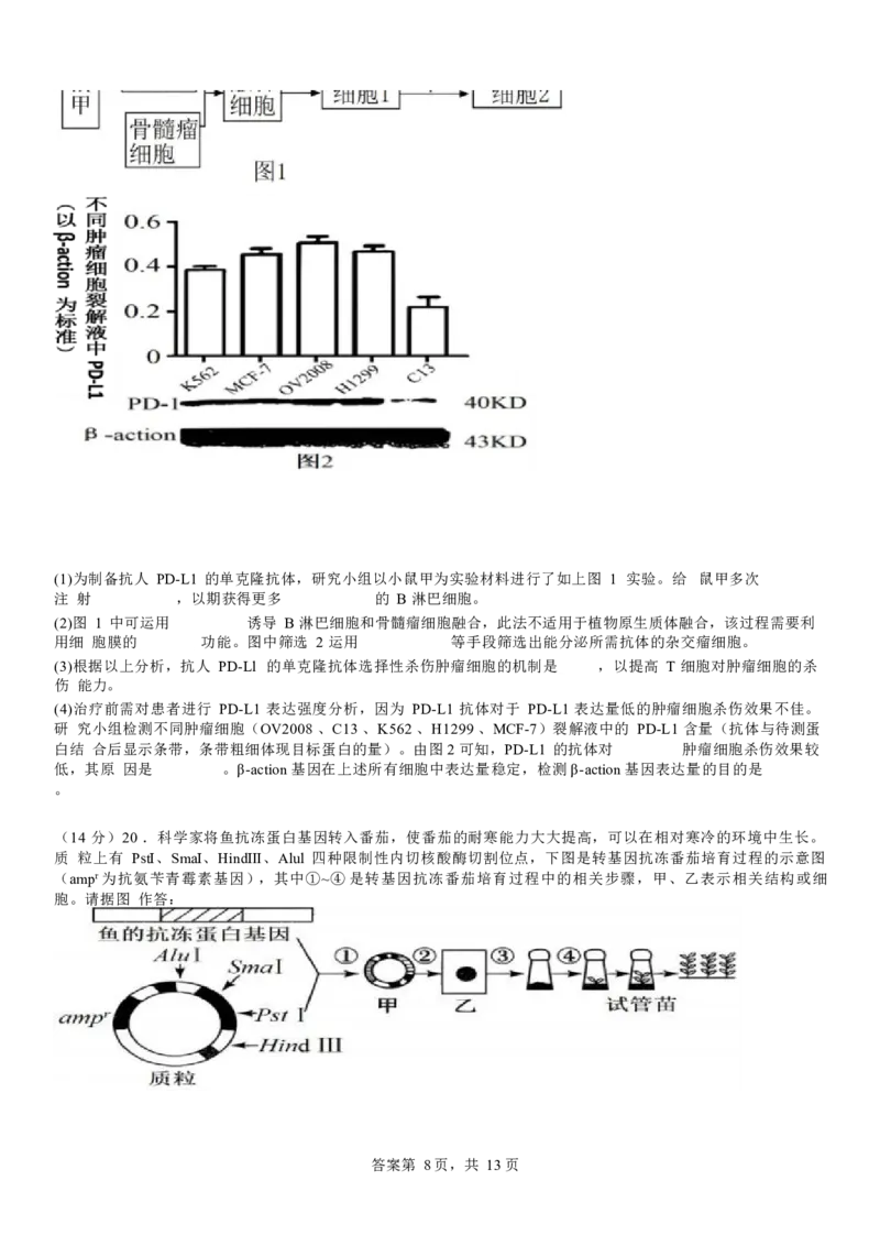 河南省安阳市林州市第一中学2024-2025学年高三上学期8月月考+生物_A1502026各地模拟卷（超值！）_9月_240904河南省安阳市林州市第一中学2024-2025学年高三上学期8月月考
