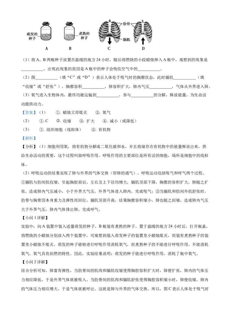 精品解析：北京市朝阳区2019-2020学年七年级下学期期末生物试题（解析版）(1)_北京初中期末题_C605-京七八九_B京生物七八九_北京7下生物_2019-2020