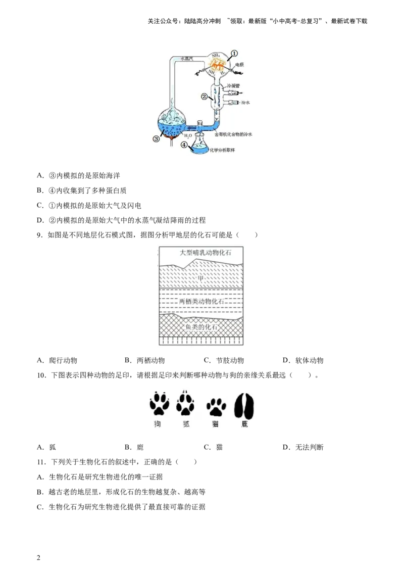 专题22生命的起源和生物进化（习题精练）-省心备考2024年中考生物一轮复习精讲精练（全国通用）（原卷版）_02中考总复习（2026版更新中）_08-生物-中考总复习_2024年中考复习资料