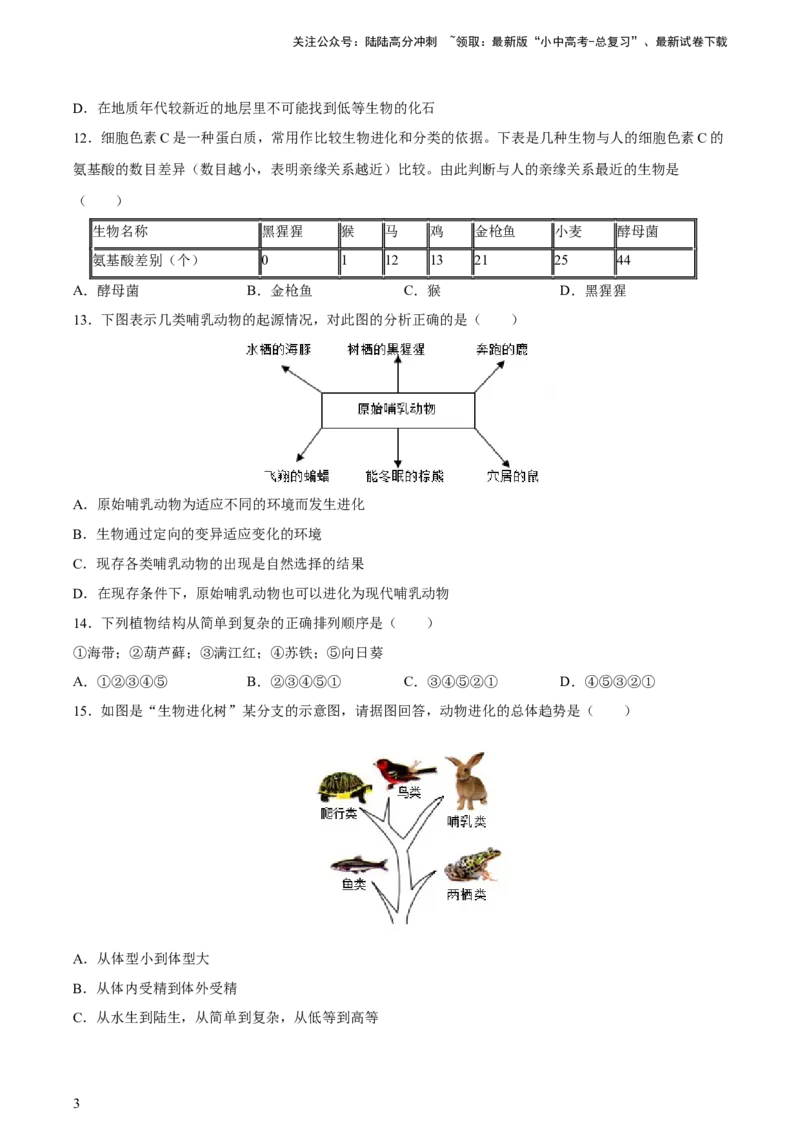 专题22生命的起源和生物进化（习题精练）-省心备考2024年中考生物一轮复习精讲精练（全国通用）（原卷版）_02中考总复习（2026版更新中）_08-生物-中考总复习_2024年中考复习资料
