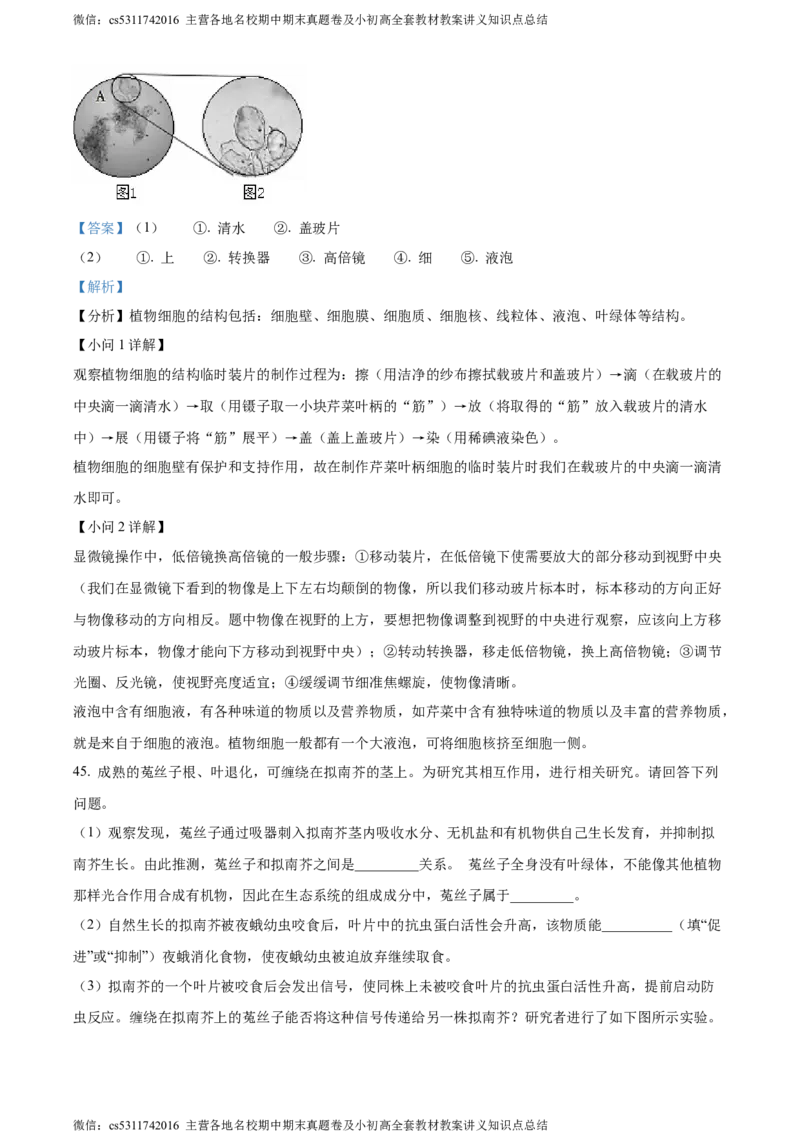 精品解析：北京市海淀区中国人民大学附属中学第二分校2022-2023学年七年级上学期期中生物试题（解析版）(1)_北京初中期末题_C605-京七八九_B京生物七八九_北京7上生物_2022-2024