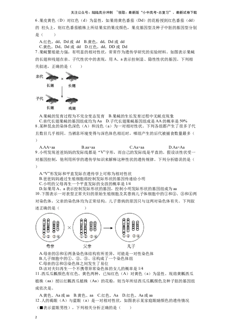 专题23生物的遗传和变异（原卷版）_02中考总复习（2026版更新中）_08-生物-中考总复习_2024年中考复习资料_一轮复习_配套练习