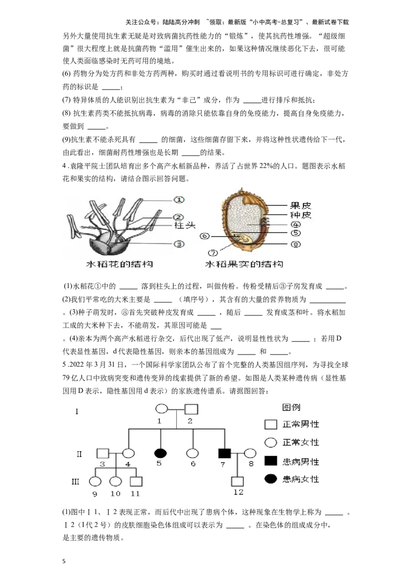 专题23生物的遗传和变异（原卷版）_02中考总复习（2026版更新中）_08-生物-中考总复习_2024年中考复习资料_一轮复习_配套练习
