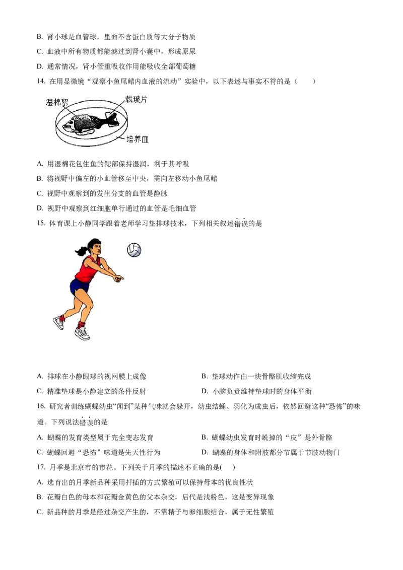 精品解析：北京市第四中学2021-2022学年八年级下学期期中生物试题（原卷版）(1)_北京初中期末题_C605-京七八九_B京生物七八九_北京八下生物
