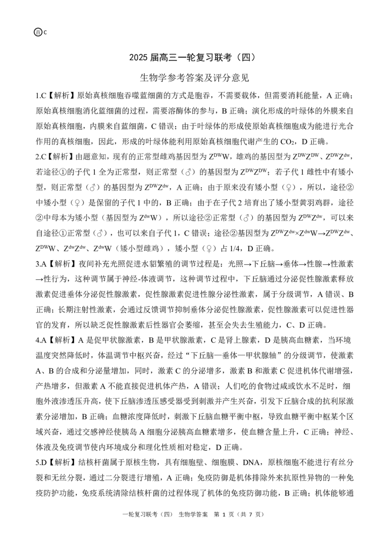 百师联盟2025届高三一轮复习联考（四）生物答案（百C）_A1502026各地模拟卷（超值！）_12月_241229百师联盟2025届高三一轮复习联考（四）（全科）