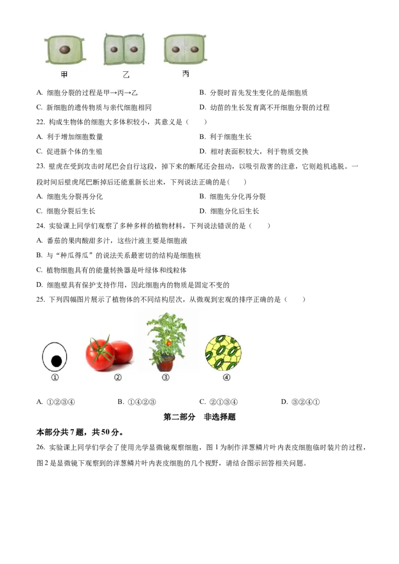 精品解析：北京市第四中学2022-2023学年七年级上学期期中生物试题（原卷版）(1)_北京初中期末题_C605-京七八九_B京生物七八九_北京7上生物_2022-2024_北京生物7上期中