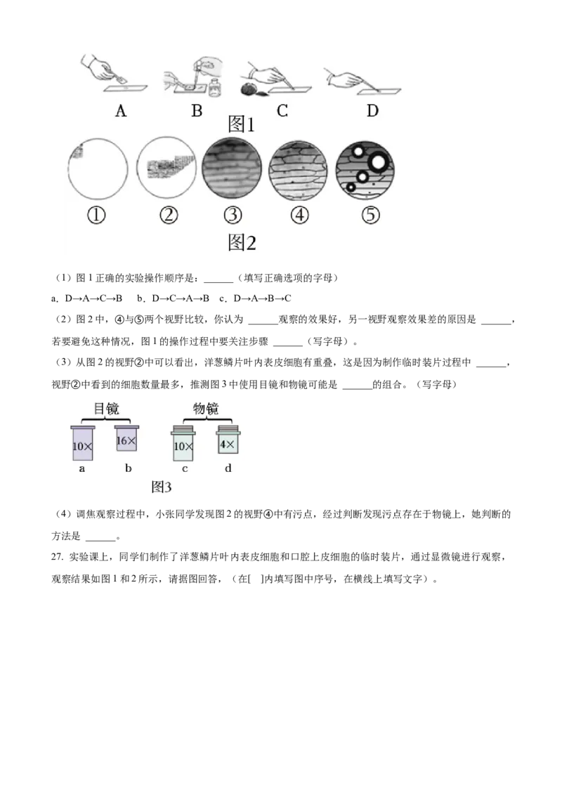 精品解析：北京市第四中学2022-2023学年七年级上学期期中生物试题（原卷版）(1)_北京初中期末题_C605-京七八九_B京生物七八九_北京7上生物_2022-2024_北京生物7上期中