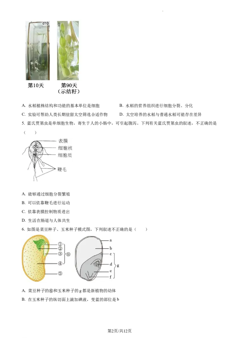 精品解析：北京市第二中学教育集团2022-2023学年八年级下学期期中生物试题（原卷版）(1)_北京初中期末题_C605-京七八九_B京生物七八九_北京7下生物_2022-2024_北京生物7下期中