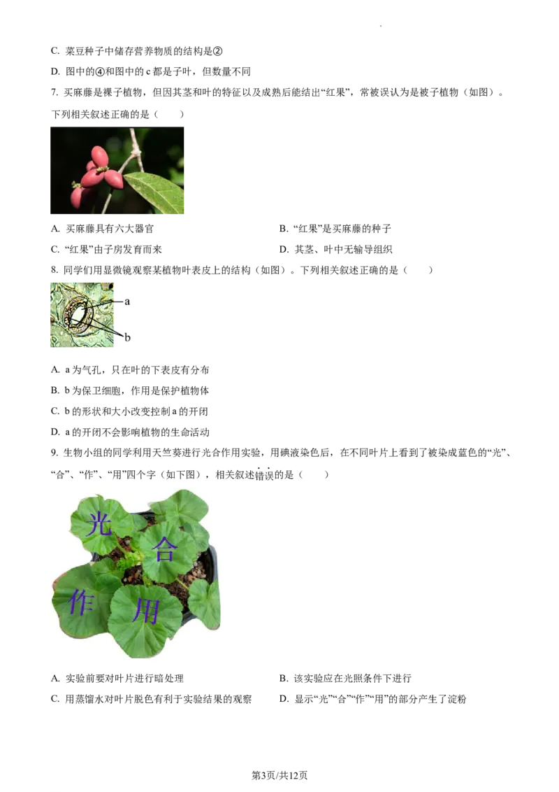 精品解析：北京市第二中学教育集团2022-2023学年八年级下学期期中生物试题（原卷版）(1)_北京初中期末题_C605-京七八九_B京生物七八九_北京7下生物_2022-2024_北京生物7下期中