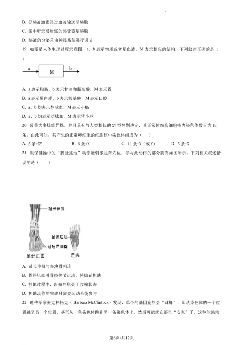 精品解析：北京市第二中学教育集团2022-2023学年八年级下学期期中生物试题（原卷版）(1)_北京初中期末题_C605-京七八九_B京生物七八九_北京7下生物_2022-2024_北京生物7下期中