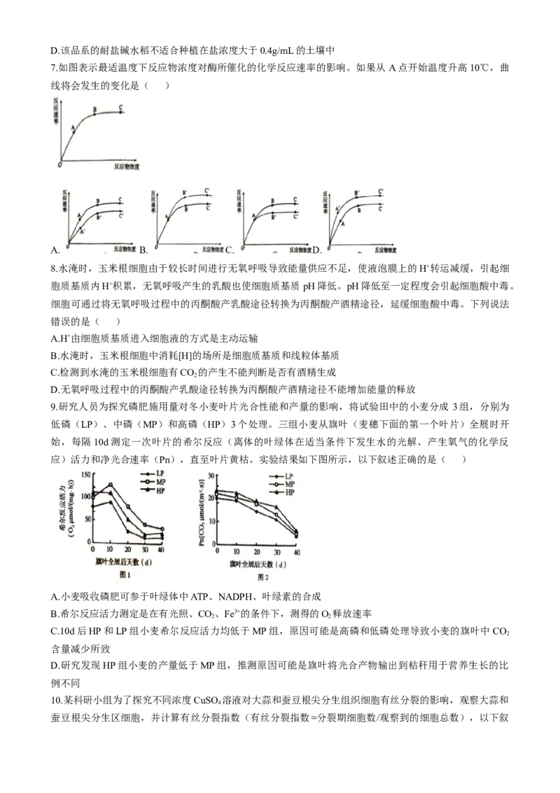 河南省三门峡市2024-2025学年高三上学期11月期中考试生物Word版含解析_A1502026各地模拟卷（超值！）_11月_241118河南省三门峡市2024-2025学年高三上学期11月期中考试（全科）