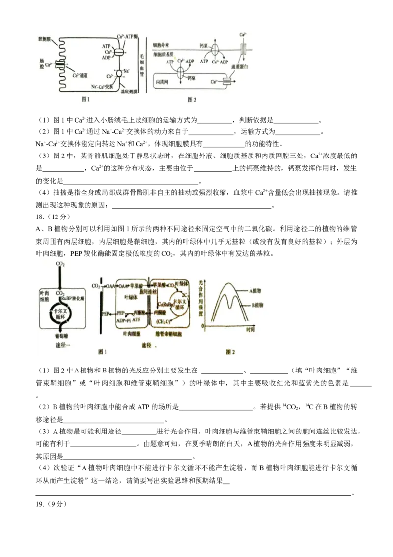 河南省三门峡市2024-2025学年高三上学期11月期中考试生物Word版含解析_A1502026各地模拟卷（超值！）_11月_241118河南省三门峡市2024-2025学年高三上学期11月期中考试（全科）