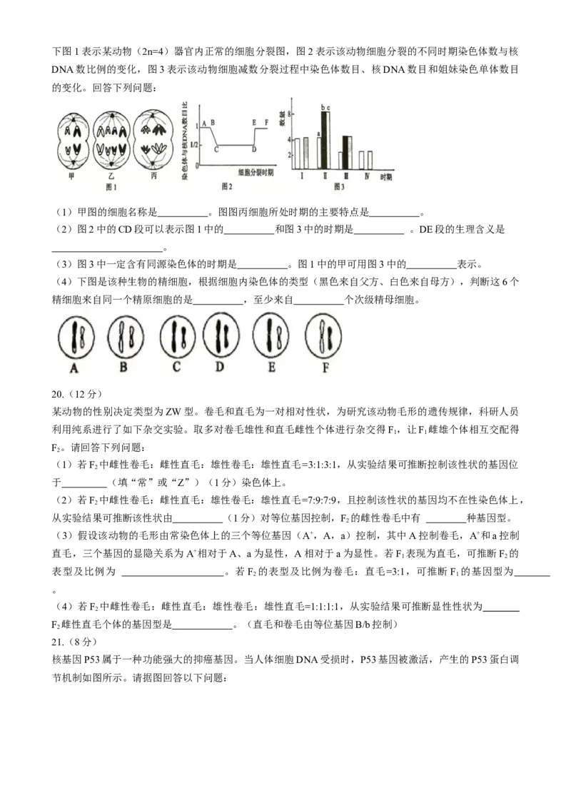 河南省三门峡市2024-2025学年高三上学期11月期中考试生物Word版含解析_A1502026各地模拟卷（超值！）_11月_241118河南省三门峡市2024-2025学年高三上学期11月期中考试（全科）