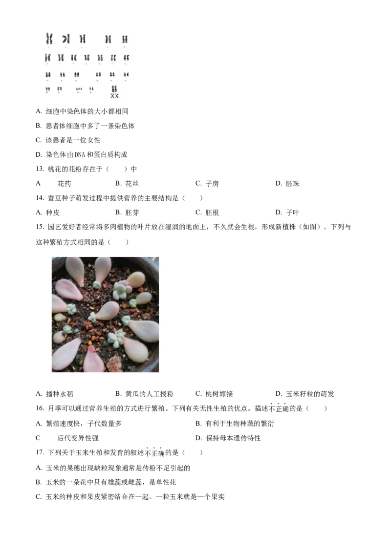 精品解析：北京市顺义区2023-2024学年八年级上学期期末生物试题（原卷版）(1)_北京初中期末题_C605-京七八九_B京生物七八九_北京八上生物_2023-2024