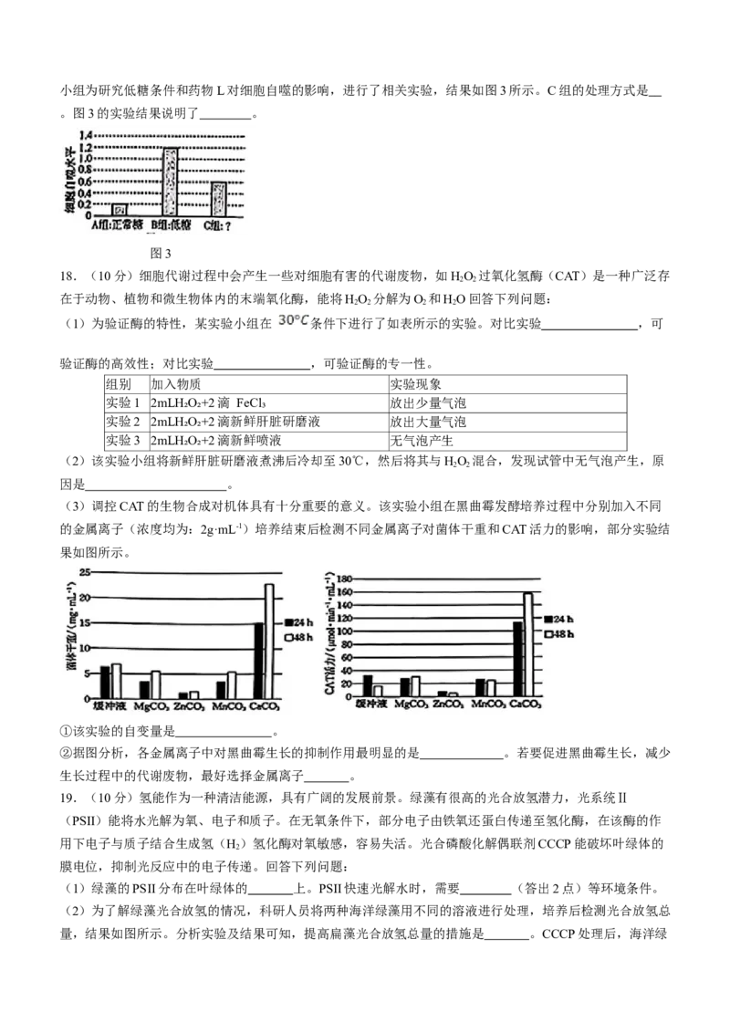 青海省金太阳2024-2025学年高三上学期期中联考生物试题（含答案）_A1502026各地模拟卷（超值！）_11月_241124青海省金太阳2024-2025学年高三上学期11月联考