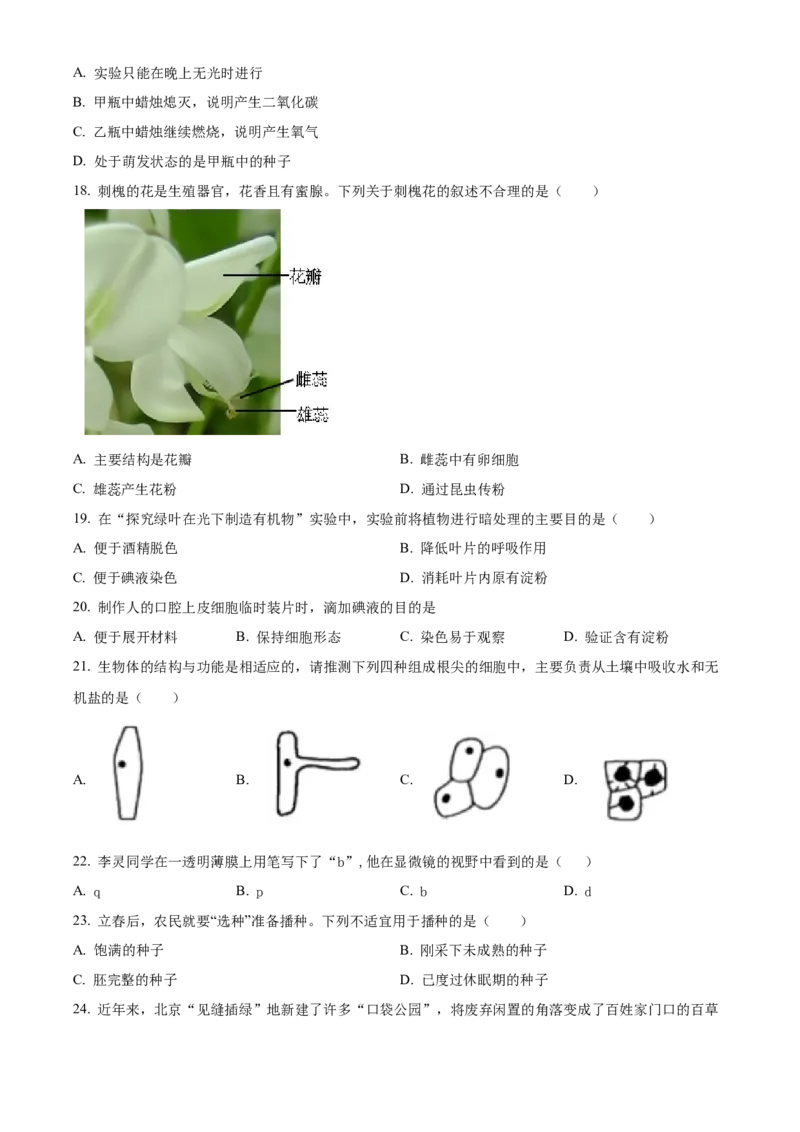 精品解析：北京市第二中学教育集团2022-2023学年七年级上学期期末生物试题（原卷版）(1)_北京初中期末题_C605-京七八九_B京生物七八九_北京7上生物_2022-2024_北京生物7上期末
