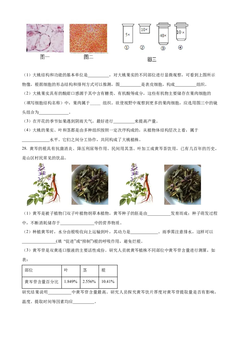 精品解析：北京市第二中学教育集团2022-2023学年七年级上学期期末生物试题（原卷版）(1)_北京初中期末题_C605-京七八九_B京生物七八九_北京7上生物_2022-2024_北京生物7上期末