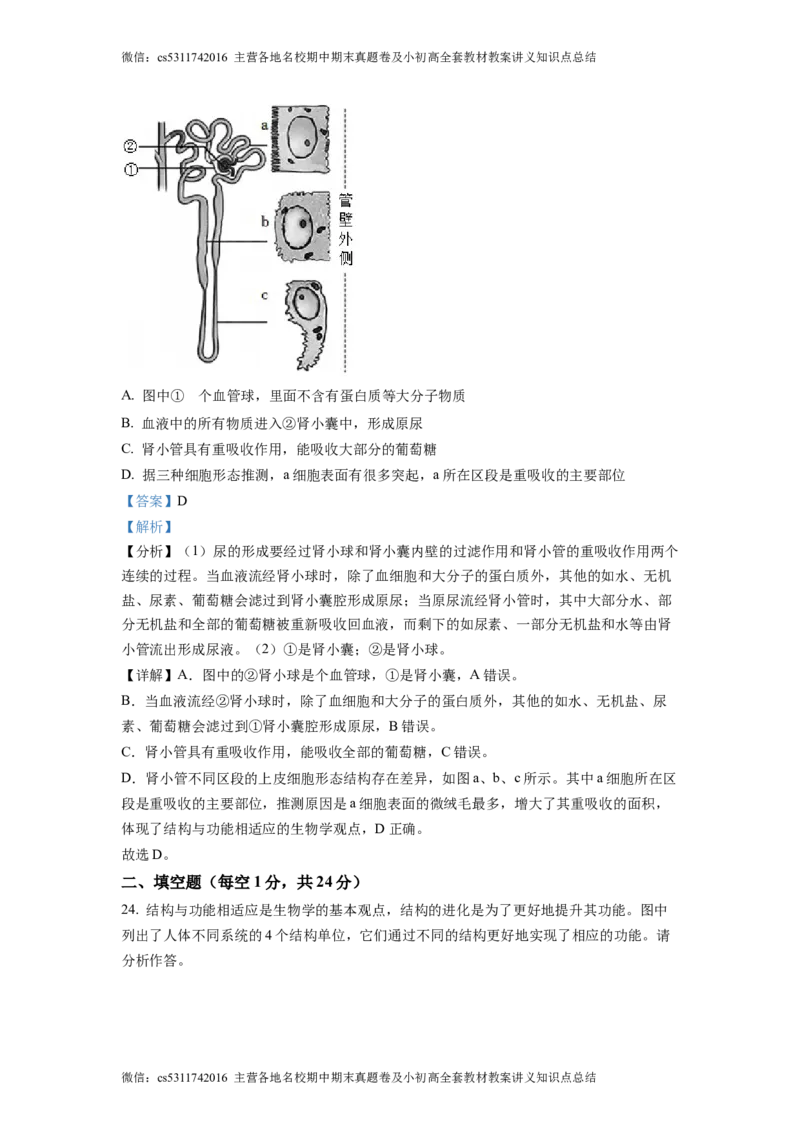 精品解析：北京市通州区运河中学东校区2021-2022学年七年级下学期诊断生物试题（解析版）(1)_北京初中期末题_C605-京七八九_B京生物七八九_北京7下生物_2022-2024_北京生物7下月考