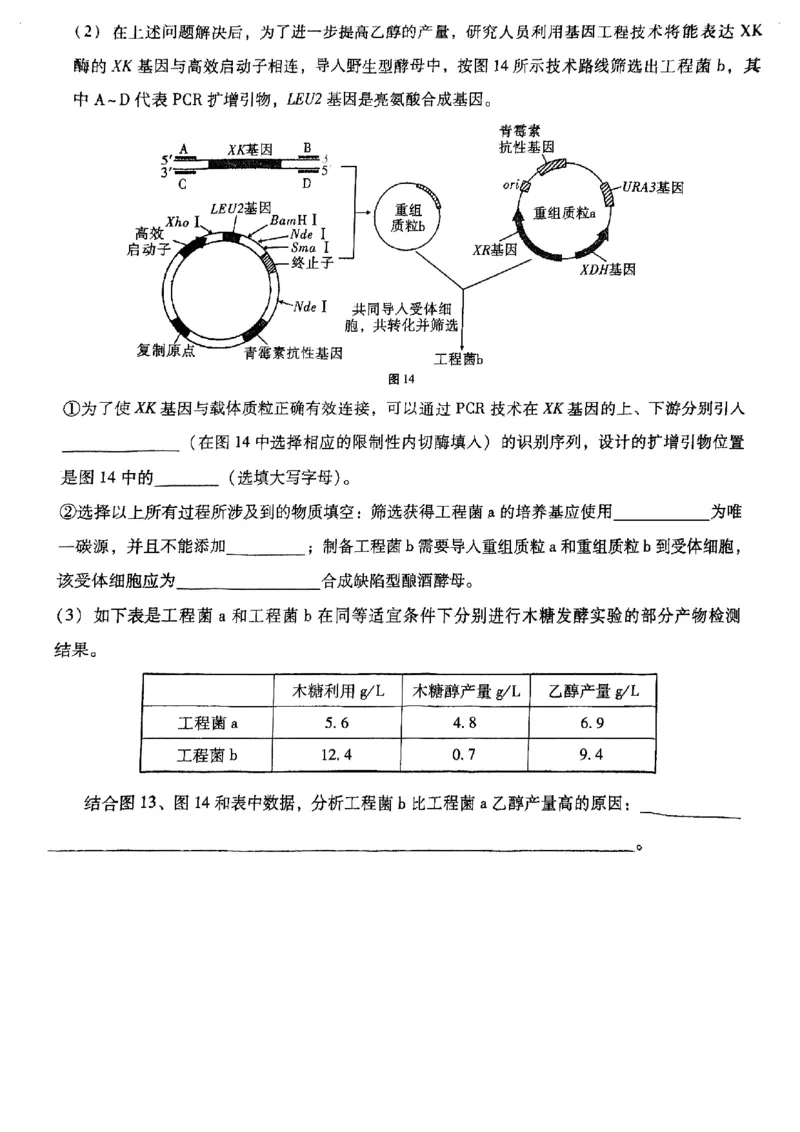 重庆市渝中区巴蜀中学校2024-2025学年高三上学期9月月考生物试题_A1502026各地模拟卷（超值！）_9月_240921重庆市巴蜀中学2024-2025学年高考适应性月考卷（一）