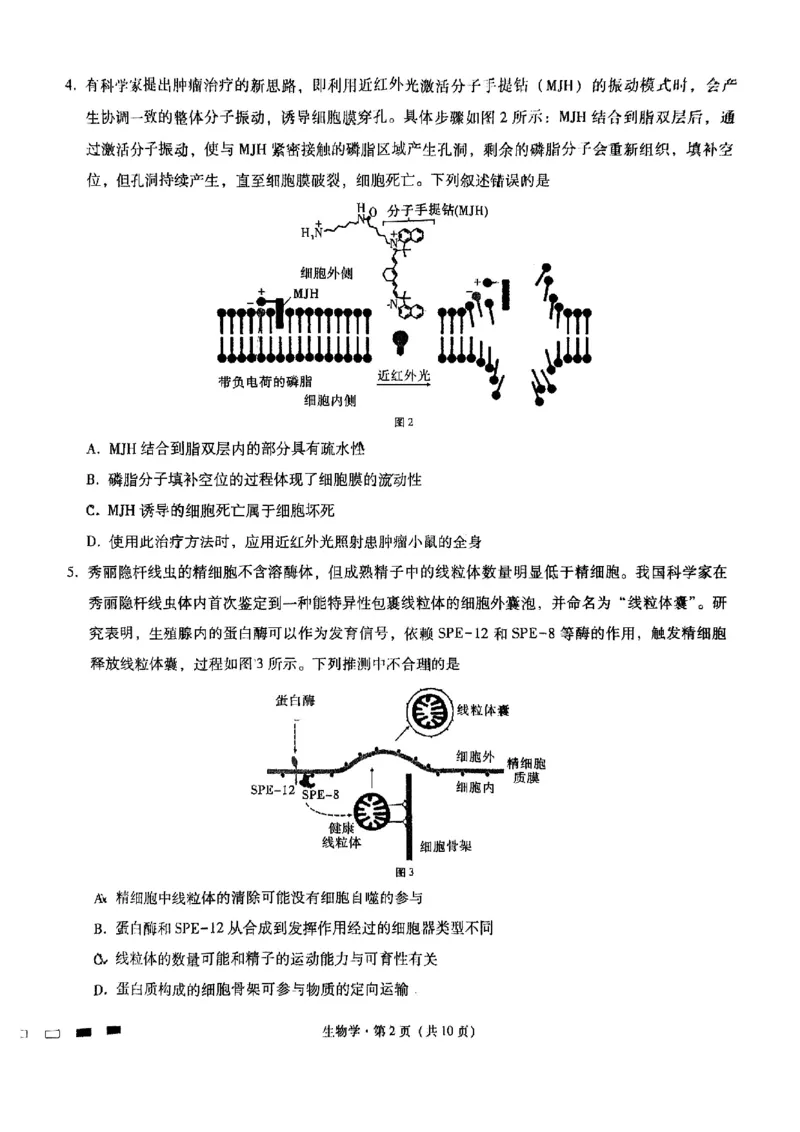 重庆市渝中区巴蜀中学校2024-2025学年高三上学期9月月考生物试题_A1502026各地模拟卷（超值！）_9月_240921重庆市巴蜀中学2024-2025学年高考适应性月考卷（一）