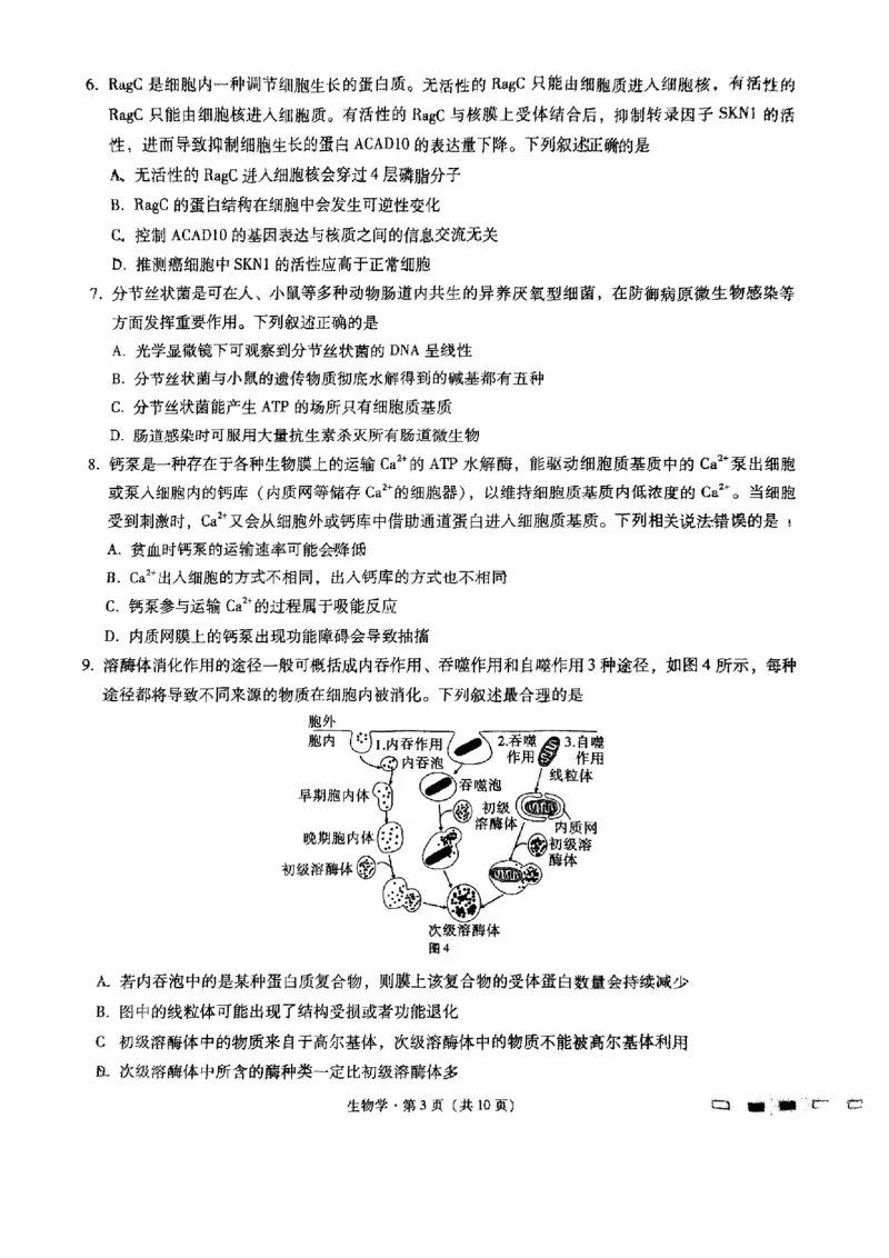 重庆市渝中区巴蜀中学校2024-2025学年高三上学期9月月考生物试题_A1502026各地模拟卷（超值！）_9月_240921重庆市巴蜀中学2024-2025学年高考适应性月考卷（一）