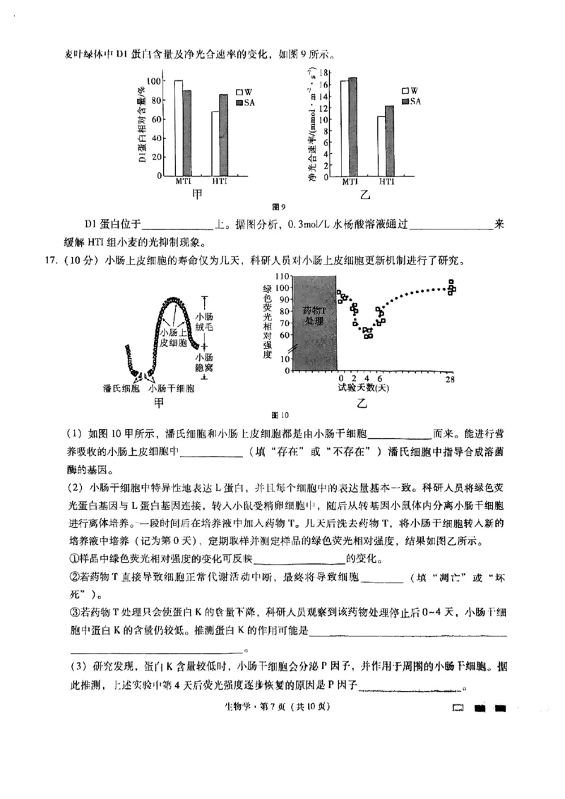 重庆市渝中区巴蜀中学校2024-2025学年高三上学期9月月考生物试题_A1502026各地模拟卷（超值！）_9月_240921重庆市巴蜀中学2024-2025学年高考适应性月考卷（一）