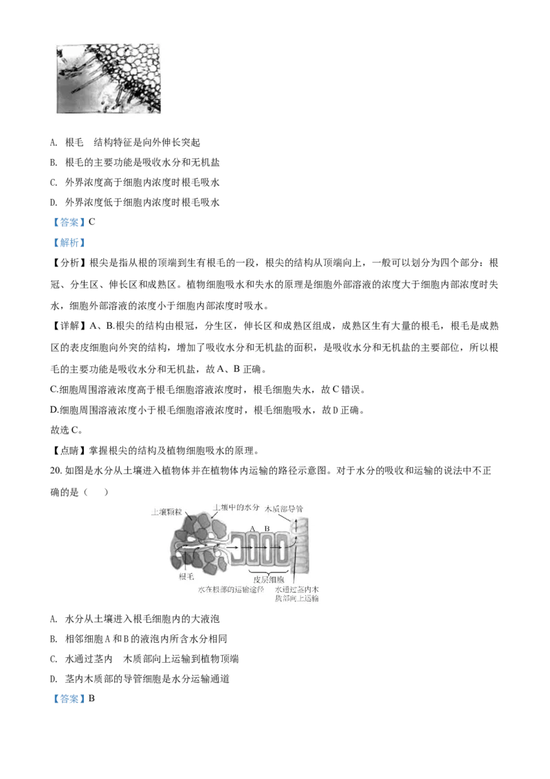 精品解析：北京市通州区2019-2020学年七年级上学期期末生物试题（解析版）(1)_北京初中期末题_C605-京七八九_B京生物七八九_北京7上生物_2019-2020