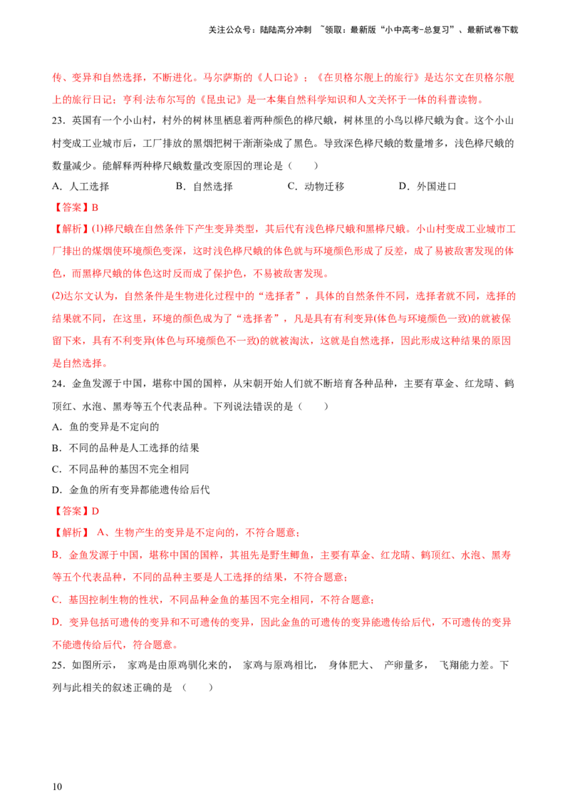 专题22生命的起源和生物进化（习题精练）-省心备考2024年中考生物一轮复习精讲精练（全国通用）（解析版）_02中考总复习（2026版更新中）_08-生物-中考总复习_2024年中考复习资料