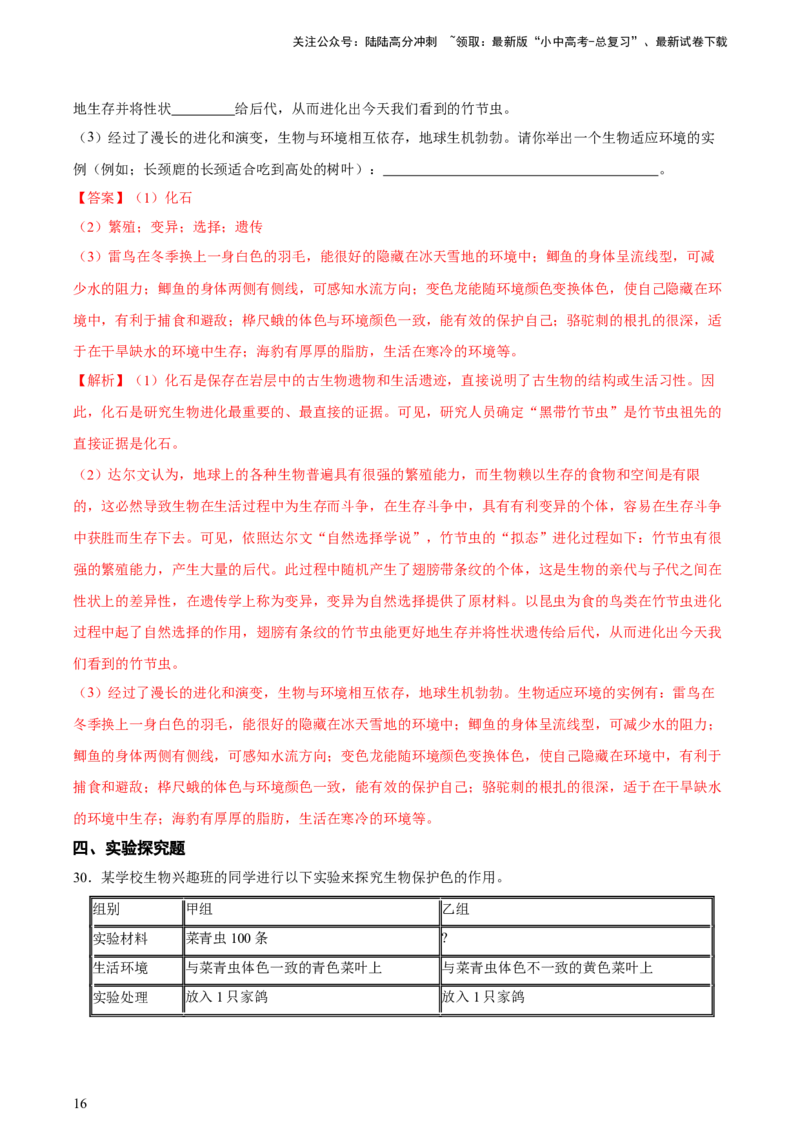 专题22生命的起源和生物进化（习题精练）-省心备考2024年中考生物一轮复习精讲精练（全国通用）（解析版）_02中考总复习（2026版更新中）_08-生物-中考总复习_2024年中考复习资料