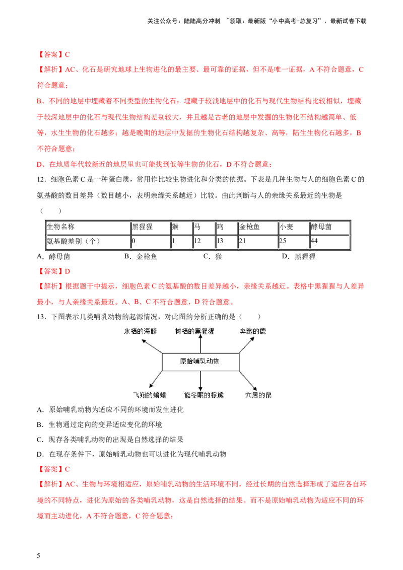 专题22生命的起源和生物进化（习题精练）-省心备考2024年中考生物一轮复习精讲精练（全国通用）（解析版）_02中考总复习（2026版更新中）_08-生物-中考总复习_2024年中考复习资料