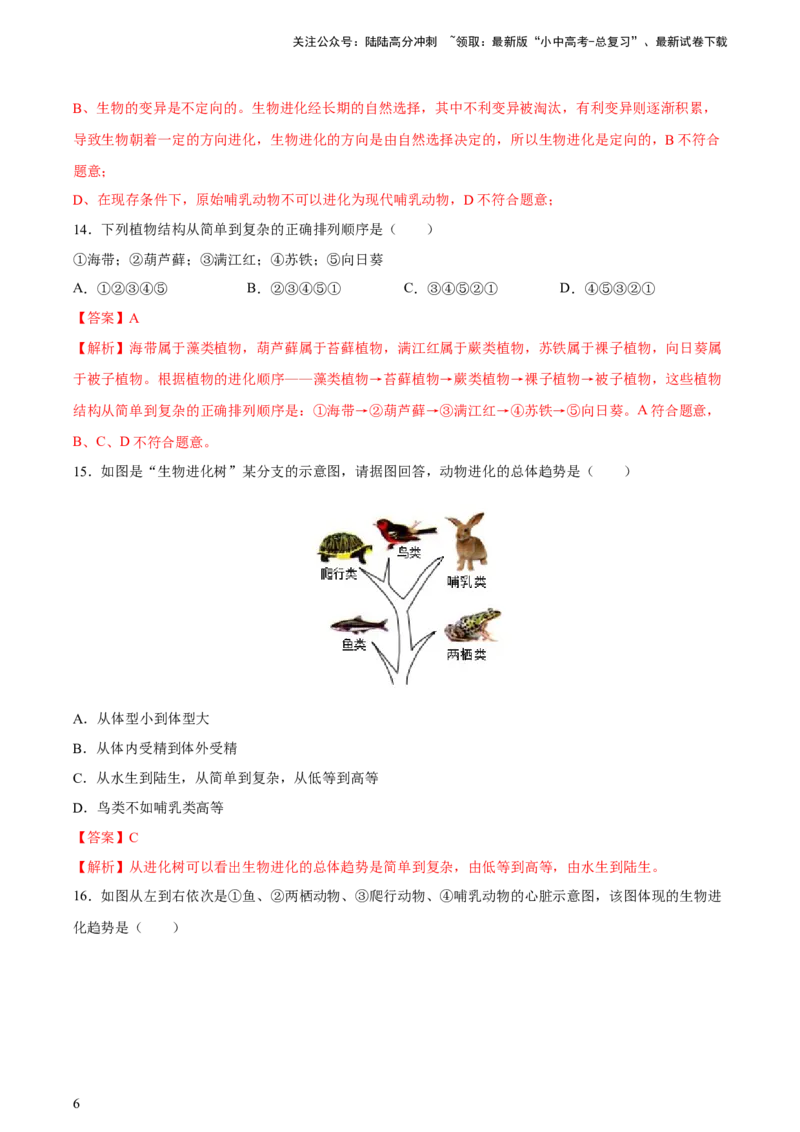 专题22生命的起源和生物进化（习题精练）-省心备考2024年中考生物一轮复习精讲精练（全国通用）（解析版）_02中考总复习（2026版更新中）_08-生物-中考总复习_2024年中考复习资料