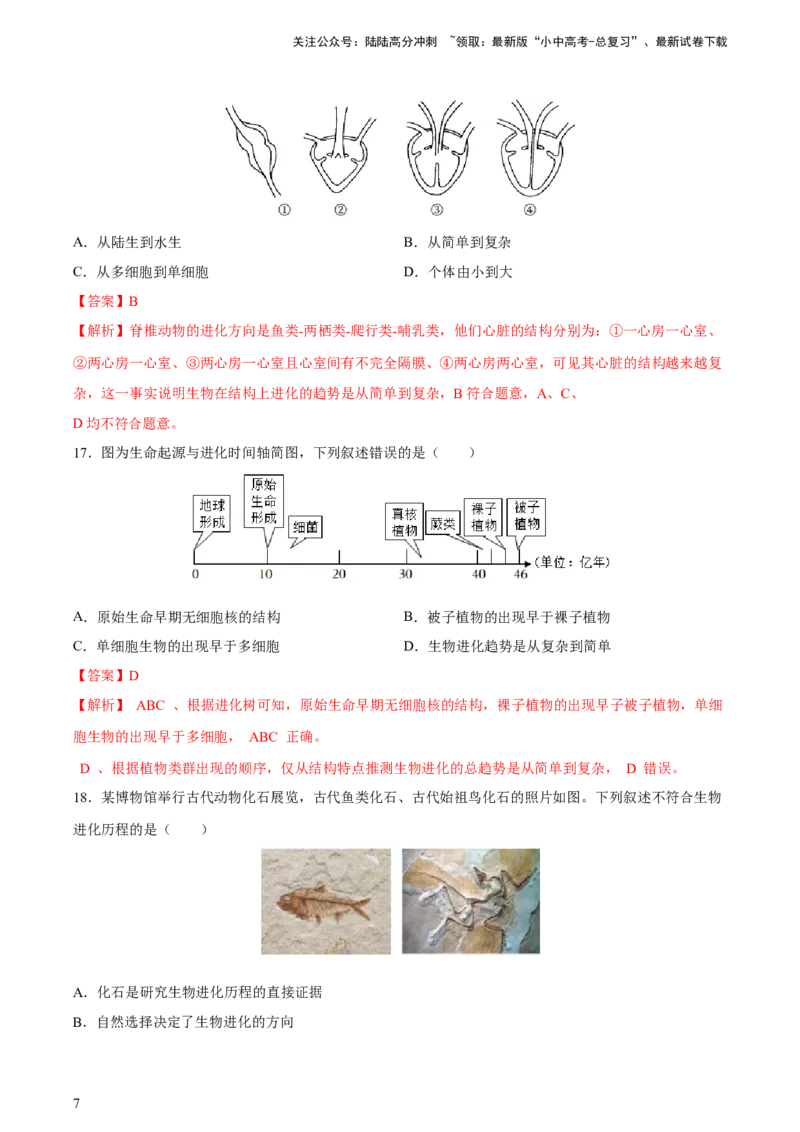 专题22生命的起源和生物进化（习题精练）-省心备考2024年中考生物一轮复习精讲精练（全国通用）（解析版）_02中考总复习（2026版更新中）_08-生物-中考总复习_2024年中考复习资料