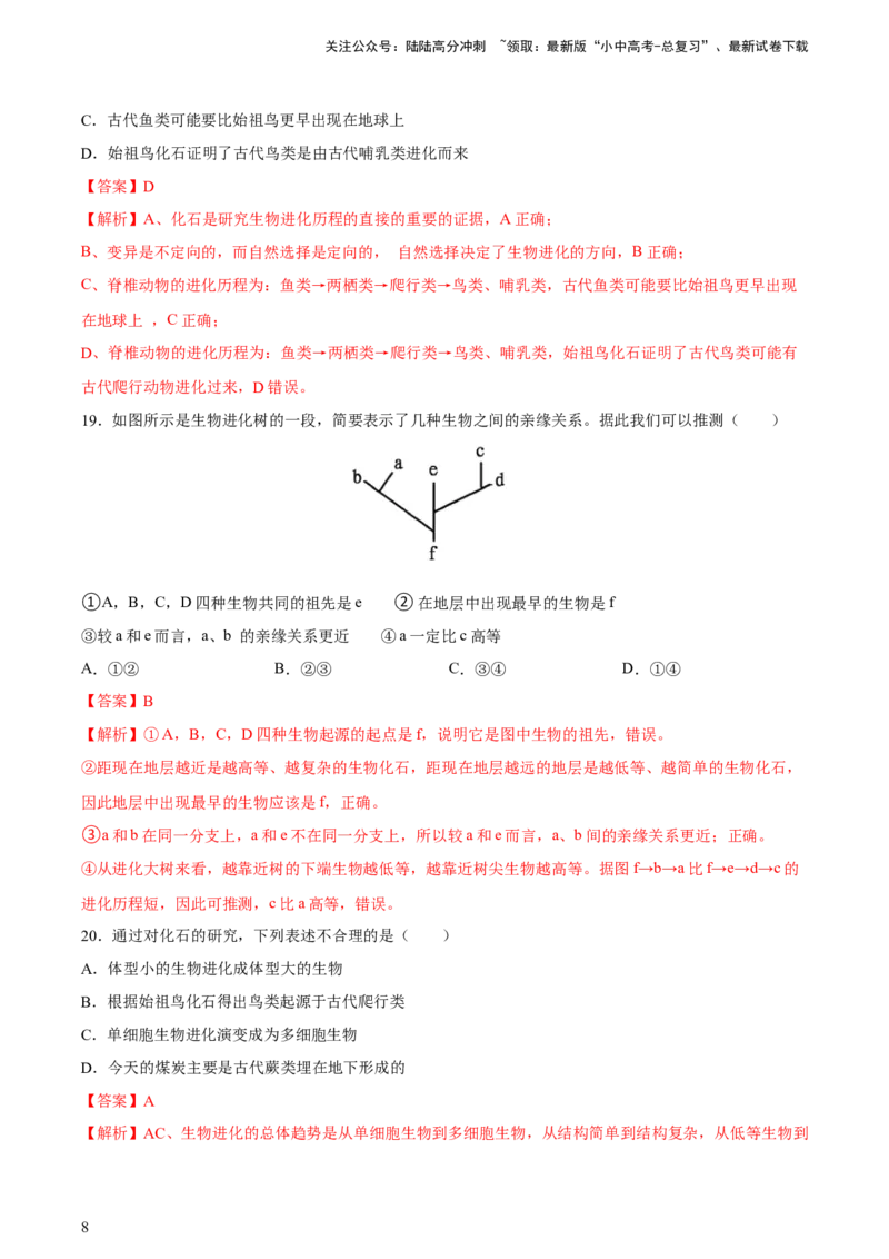 专题22生命的起源和生物进化（习题精练）-省心备考2024年中考生物一轮复习精讲精练（全国通用）（解析版）_02中考总复习（2026版更新中）_08-生物-中考总复习_2024年中考复习资料