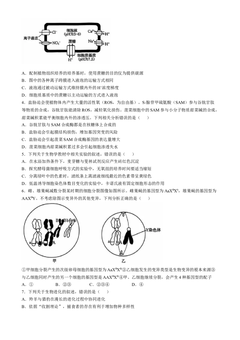 河北省沧州市沧衡名校联盟2024-2025学年高三上学期11月期中生物试题_A1502026各地模拟卷（超值！）_11月_241119河北省沧衡名校联盟2024-2025学年高三11月期中考试
