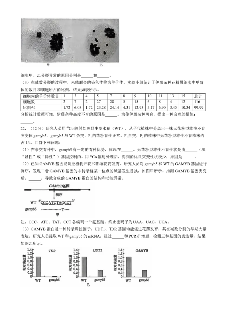 河北省沧州市沧衡名校联盟2024-2025学年高三上学期11月期中生物试题_A1502026各地模拟卷（超值！）_11月_241119河北省沧衡名校联盟2024-2025学年高三11月期中考试