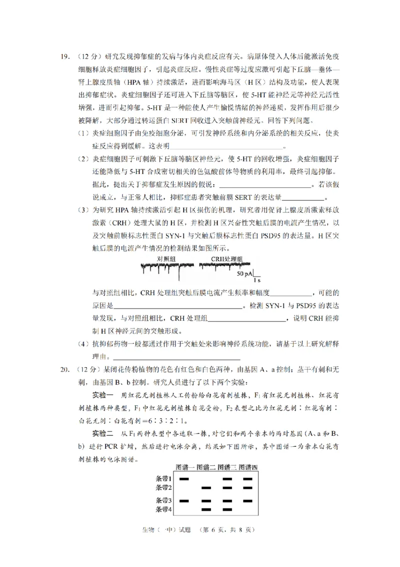 湖南省长沙市一中2024-2025学年高三上学期阶段性检测（一）生物试题_A1502026各地模拟卷（超值！）_9月_240915湖南省长沙市一中2024-2025学年高三上学期阶段性检测（一）