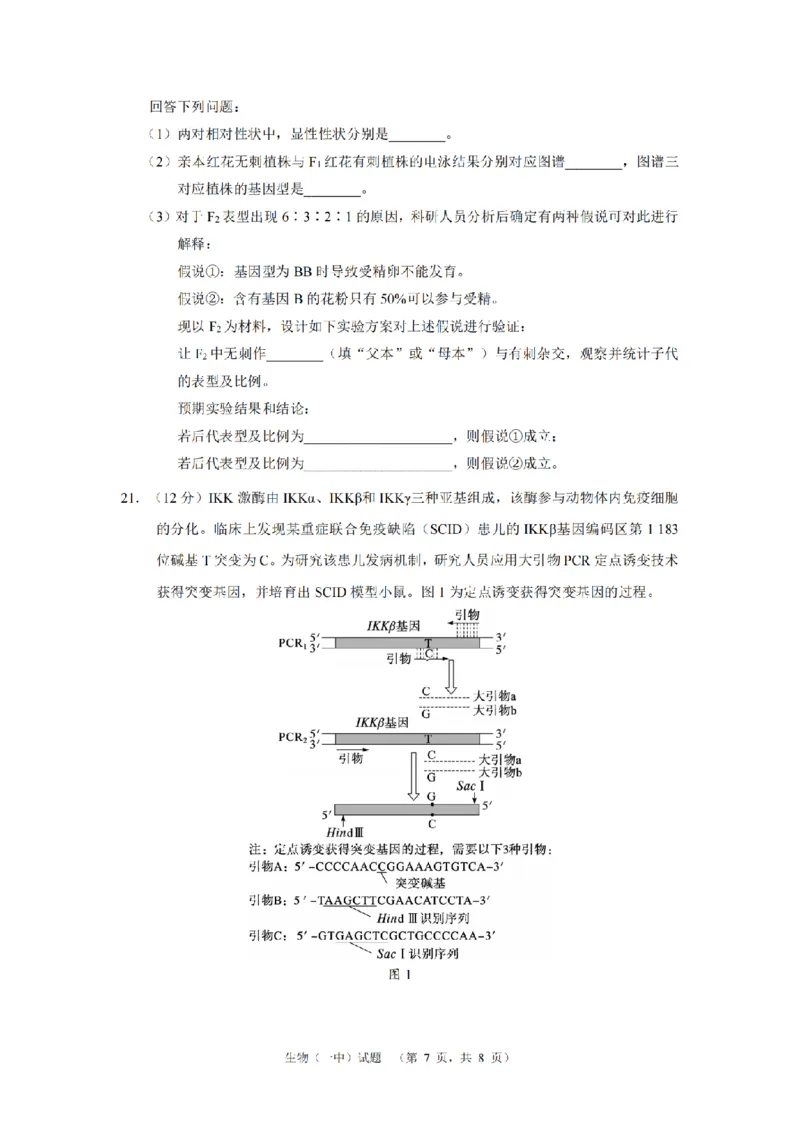 湖南省长沙市一中2024-2025学年高三上学期阶段性检测（一）生物试题_A1502026各地模拟卷（超值！）_9月_240915湖南省长沙市一中2024-2025学年高三上学期阶段性检测（一）