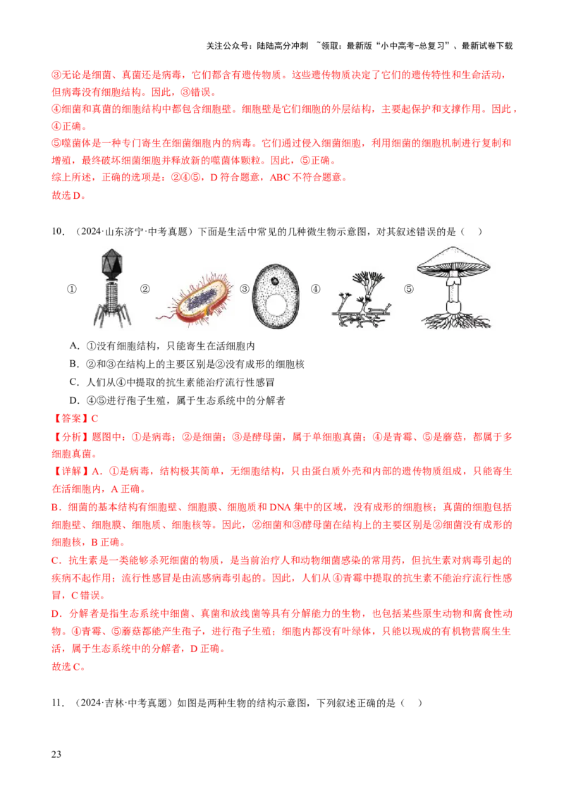 主题二生物的多样性（讲练）（解析版）_02中考总复习（2026版更新中）_08-生物-中考总复习_2025中考复习资料_2025中考二轮课件ppt+讲义+练习生物_讲义+练习