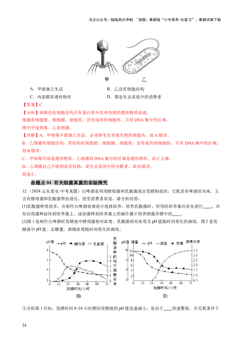 主题二生物的多样性（讲练）（解析版）_02中考总复习（2026版更新中）_08-生物-中考总复习_2025中考复习资料_2025中考二轮课件ppt+讲义+练习生物_讲义+练习