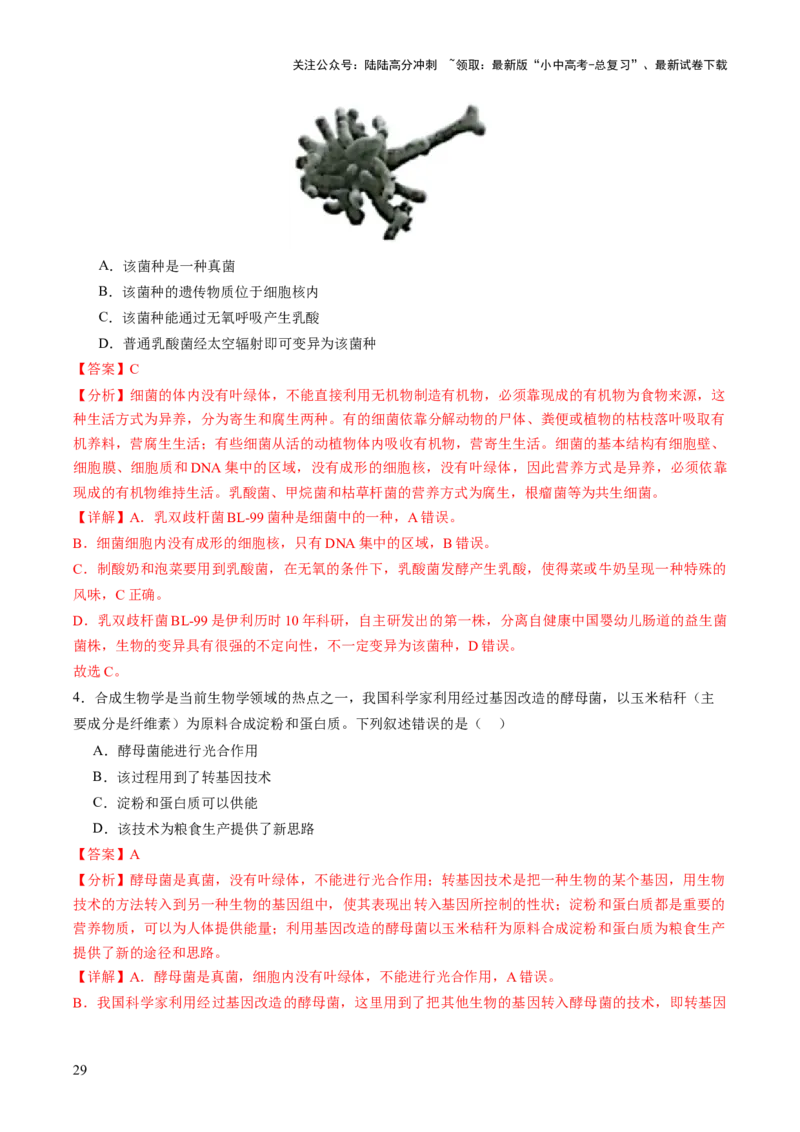 主题二生物的多样性（讲练）（解析版）_02中考总复习（2026版更新中）_08-生物-中考总复习_2025中考复习资料_2025中考二轮课件ppt+讲义+练习生物_讲义+练习