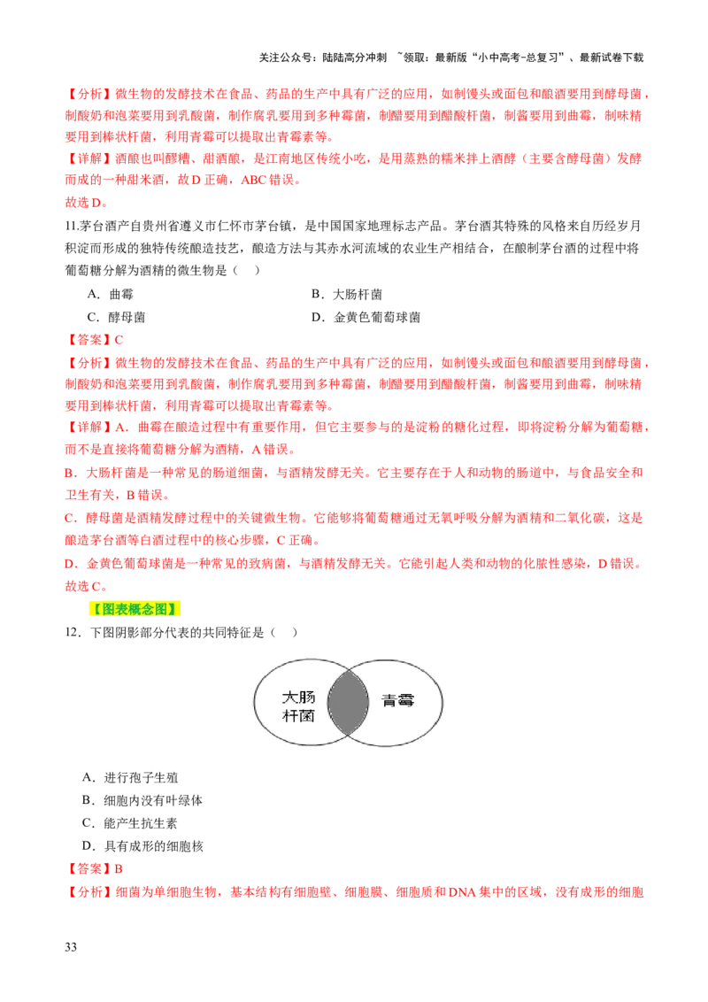 主题二生物的多样性（讲练）（解析版）_02中考总复习（2026版更新中）_08-生物-中考总复习_2025中考复习资料_2025中考二轮课件ppt+讲义+练习生物_讲义+练习