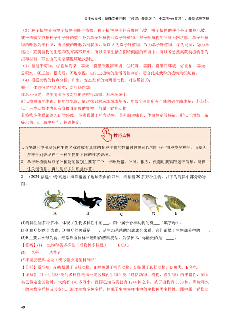 主题二生物的多样性（讲练）（解析版）_02中考总复习（2026版更新中）_08-生物-中考总复习_2025中考复习资料_2025中考二轮课件ppt+讲义+练习生物_讲义+练习